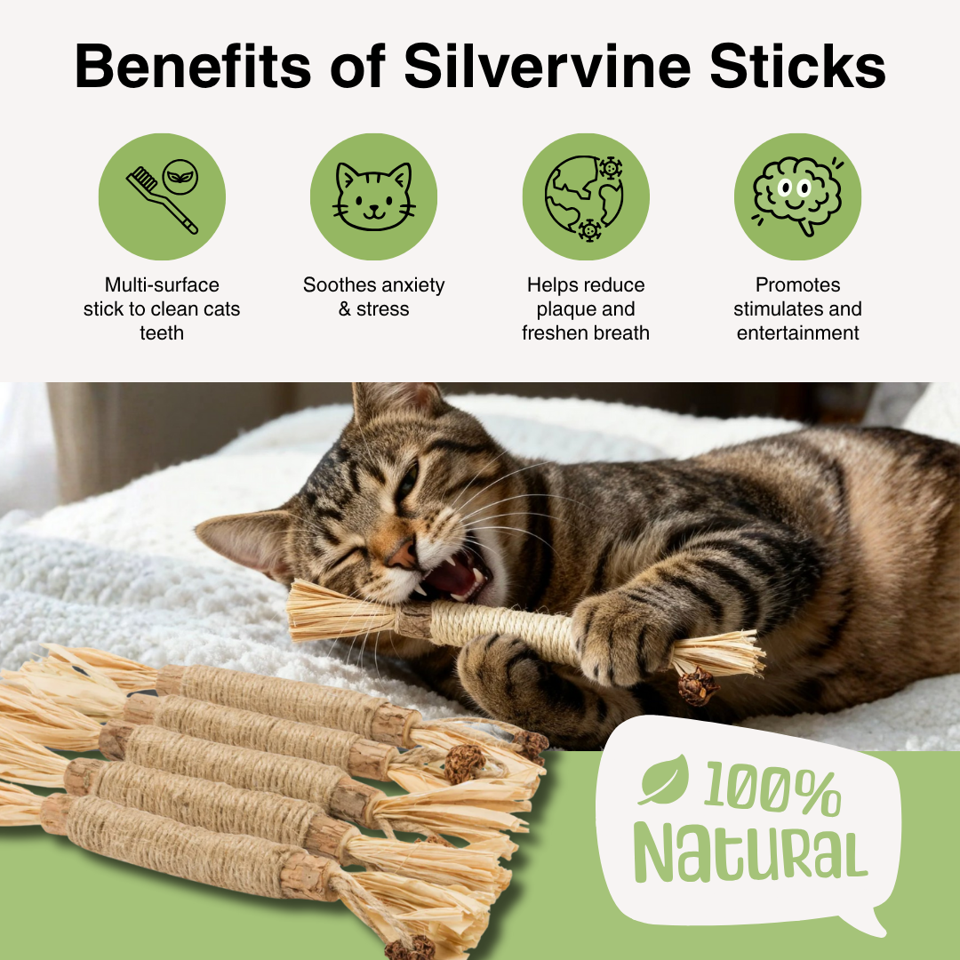 Purralux Natural Silvervine Dental Sticks
